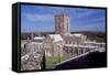 View of Saint David's Cathedral, Saint Davids, Pembrokeshire, Wales, 12th-19th Century-null-Framed Stretched Canvas