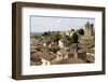 View of Saint Emilion, in Aquitaine, France-ruivalesousa-Framed Photographic Print