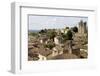 View of Saint Emilion, in Aquitaine, France-ruivalesousa-Framed Photographic Print
