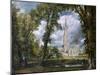 'View of Salisbury Cathedral from the Bishop's Grounds', Wiltshire, c1822-John Constable-Mounted Giclee Print