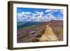 View of Salt Cellar Rock Formation near Ladybower Reservoir, Peak District National Park-Frank Fell-Framed Photographic Print