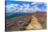 View of Salt Cellar Rock Formation near Ladybower Reservoir, Peak District National Park-Frank Fell-Stretched Canvas