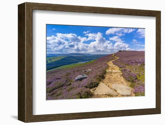 View of Salt Cellar Rock Formation near Ladybower Reservoir, Peak District National Park-Frank Fell-Framed Photographic Print