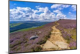 View of Salt Cellar Rock Formation near Ladybower Reservoir, Peak District National Park-Frank Fell-Mounted Photographic Print