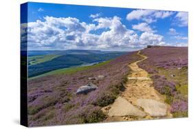 View of Salt Cellar Rock Formation near Ladybower Reservoir, Peak District National Park-Frank Fell-Stretched Canvas