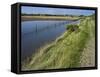 View of Salt Marshes from the Solent Way Footpath, New Forest National Park, Lymington, Hampshire, -David Hughes-Framed Stretched Canvas