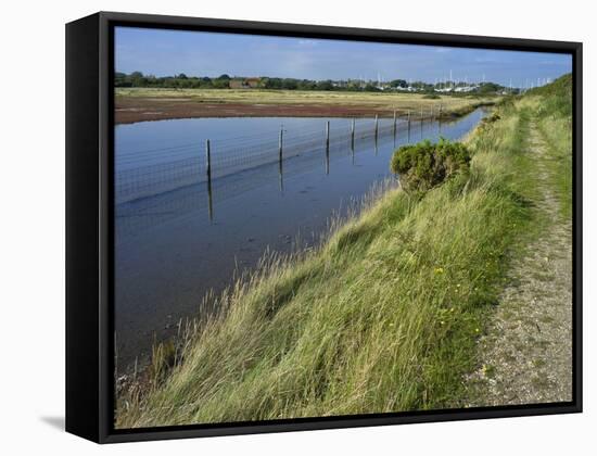 View of Salt Marshes from the Solent Way Footpath, New Forest National Park, Lymington, Hampshire, -David Hughes-Framed Stretched Canvas