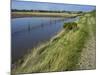 View of Salt Marshes from the Solent Way Footpath, New Forest National Park, Lymington, Hampshire, -David Hughes-Mounted Photographic Print