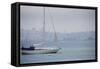 View of San Francisco from Sausalito, Marin County, California-Anna Miller-Framed Stretched Canvas