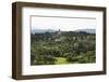 View of San Miniato from Forte Belvedere-Guido Cozzi-Framed Photographic Print