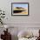 View of sand dunes in desert habitat, Khongoryn Els Sand Dunes, Southern Gobi Desert, Mongolia-David Tipling-Framed Photographic Print displayed on a wall