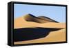 View of sand dunes in desert habitat, Khongoryn Els Sand Dunes, Southern Gobi Desert, Mongolia-David Tipling-Framed Stretched Canvas