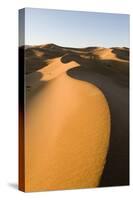 View of sand dunes in desert habitat, Khongoryn Els Sand Dunes, Southern Gobi Desert, Mongolia-David Tipling-Stretched Canvas