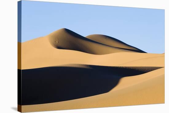 View of sand dunes in desert habitat, Khongoryn Els Sand Dunes, Southern Gobi Desert, Mongolia-David Tipling-Stretched Canvas