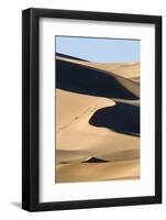 View of sand dunes in desert habitat, Khongoryn Els Sand Dunes, Southern Gobi Desert, Mongolia-David Tipling-Framed Photographic Print