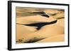 View of sand dunes in desert habitat, Khongoryn Els Sand Dunes, Southern Gobi Desert, Mongolia-David Tipling-Framed Photographic Print