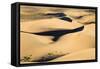 View of sand dunes in desert habitat, Khongoryn Els Sand Dunes, Southern Gobi Desert, Mongolia-David Tipling-Framed Stretched Canvas