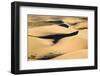 View of sand dunes in desert habitat, Khongoryn Els Sand Dunes, Southern Gobi Desert, Mongolia-David Tipling-Framed Photographic Print