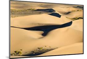View of sand dunes in desert habitat, Khongoryn Els Sand Dunes, Southern Gobi Desert, Mongolia-David Tipling-Mounted Photographic Print