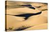View of sand dunes in desert habitat, Khongoryn Els Sand Dunes, Southern Gobi Desert, Mongolia-David Tipling-Stretched Canvas