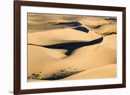 View of sand dunes in desert habitat, Khongoryn Els Sand Dunes, Southern Gobi Desert, Mongolia-David Tipling-Framed Photographic Print