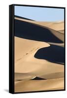 View of sand dunes in desert habitat, Khongoryn Els Sand Dunes, Southern Gobi Desert, Mongolia-David Tipling-Framed Stretched Canvas