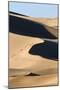 View of sand dunes in desert habitat, Khongoryn Els Sand Dunes, Southern Gobi Desert, Mongolia-David Tipling-Mounted Photographic Print