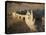 View of Sandcastle on Beach-David Barnes-Stretched Canvas