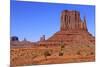 View of sandstone buttes in high desert habitat, West Mitten, Monument Valley, Navajo Tribal Park-Jurgen & Christine Sohns-Mounted Photographic Print