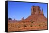 View of sandstone buttes in high desert habitat, West Mitten, Monument Valley, Navajo Tribal Park-Jurgen & Christine Sohns-Framed Stretched Canvas