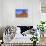 View of sandstone buttes in high desert habitat, West Mitten, Monument Valley, Navajo Tribal Park-Jurgen & Christine Sohns-Stretched Canvas displayed on a wall