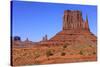 View of sandstone buttes in high desert habitat, West Mitten, Monument Valley, Navajo Tribal Park-Jurgen & Christine Sohns-Stretched Canvas