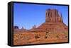 View of sandstone buttes in high desert habitat, West Mitten, Monument Valley, Navajo Tribal Park-Jurgen & Christine Sohns-Framed Stretched Canvas