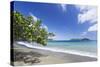 View of sandy beach, looking towards Little Tobago, Speyside, Tobago-Kevin Elsby-Stretched Canvas