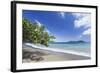 View of sandy beach, looking towards Little Tobago, Speyside, Tobago-Kevin Elsby-Framed Photographic Print