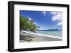 View of sandy beach, looking towards Little Tobago, Speyside, Tobago-Kevin Elsby-Framed Photographic Print