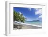 View of sandy beach, looking towards Little Tobago, Speyside, Tobago-Kevin Elsby-Framed Photographic Print