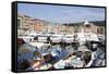 View of Santa Margherita, Liguria, Italy, Mediterranean, Europe-Oliviero Olivieri-Framed Stretched Canvas