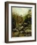 View of Scopeti Through Rocks-Carlo Ademollo-Framed Giclee Print