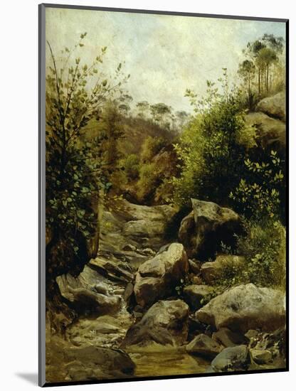 View of Scopeti Through Rocks-Carlo Ademollo-Mounted Giclee Print