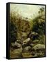View of Scopeti Through Rocks-Carlo Ademollo-Framed Stretched Canvas