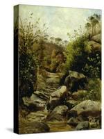 View of Scopeti Through Rocks-Carlo Ademollo-Stretched Canvas
