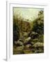 View of Scopeti Through Rocks-Carlo Ademollo-Framed Giclee Print