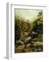 View of Scopeti Through Rocks-Carlo Ademollo-Framed Giclee Print