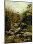 View of Scopeti Through Rocks-Carlo Ademollo-Mounted Giclee Print