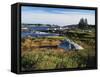 View of Sea with Coastline, Nova Scotia, Canada-Greg Probst-Framed Stretched Canvas