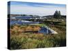 View of Sea with Coastline, Nova Scotia, Canada-Greg Probst-Stretched Canvas