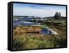 View of Sea with Coastline, Nova Scotia, Canada-Greg Probst-Framed Stretched Canvas