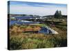 View of Sea with Coastline, Nova Scotia, Canada-Greg Probst-Stretched Canvas