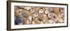 View of Seashells-null-Framed Photographic Print